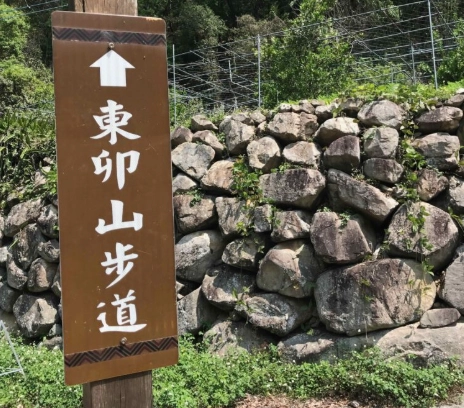 東卯山氣候 東卯山氣候