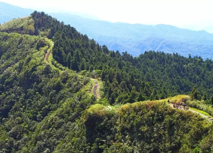 台北親山步道 台北親山步道
