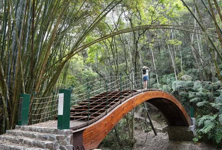 澀水森林步道時間 澀水森林步道時間