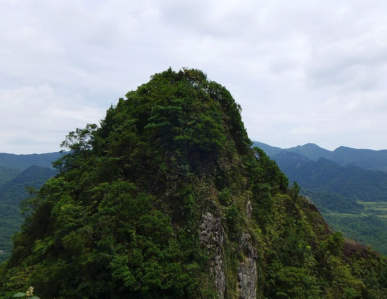 慈母山孝子山 交通 慈母山孝子山 交通