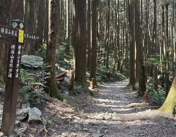 橫嶺山步道 橫嶺山步道