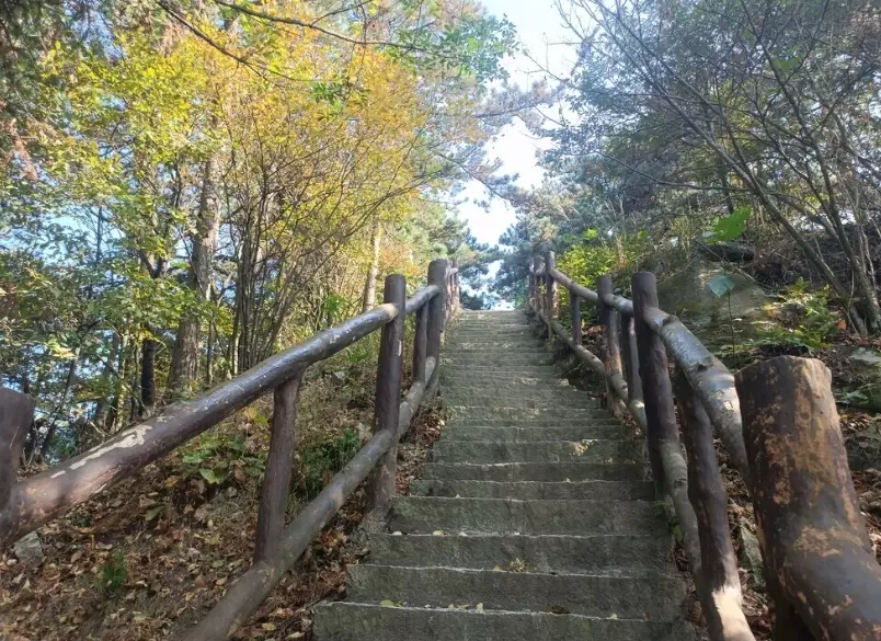 坪林步道 坪林步道