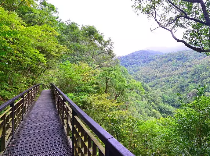 林美步道 開放時間 林美步道 開放時間