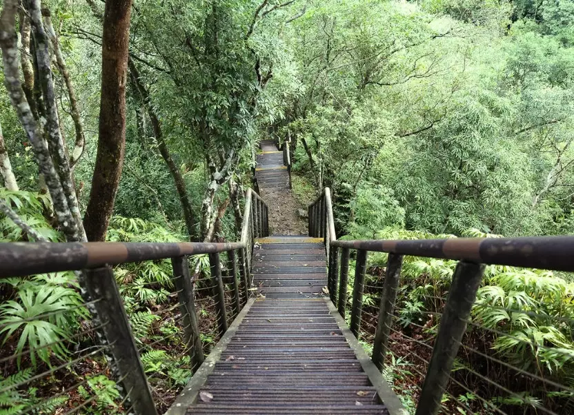 坪林茶鄉步道 坪林茶鄉步道