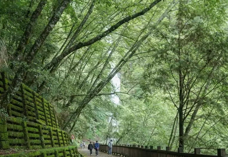 桃山瀑布步道