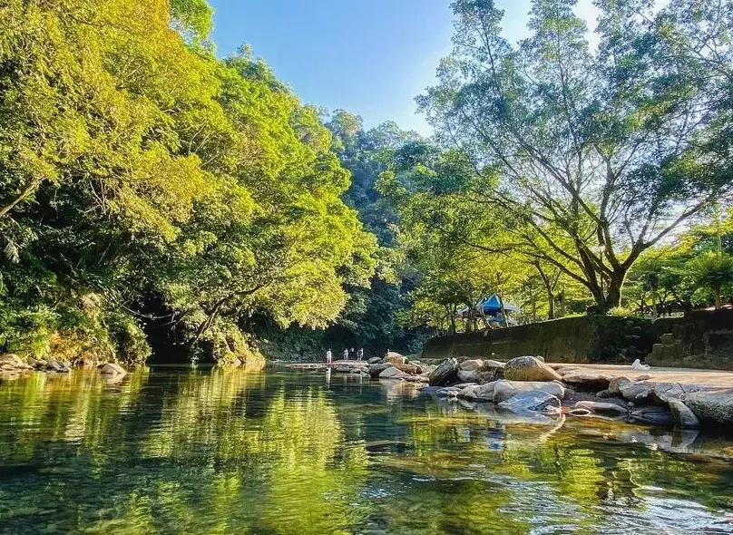 坪林茶鄉步道 坪林茶鄉步道