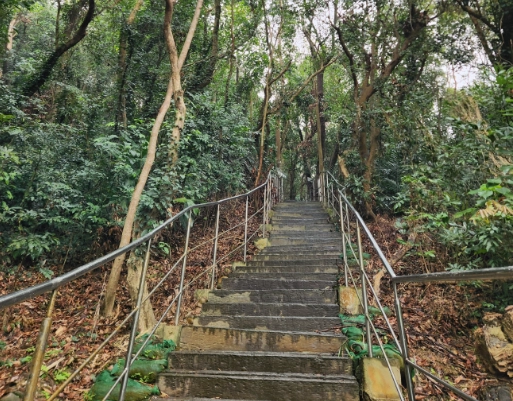 微熱山丘 鳳梨酥 微熱山丘 鳳梨酥