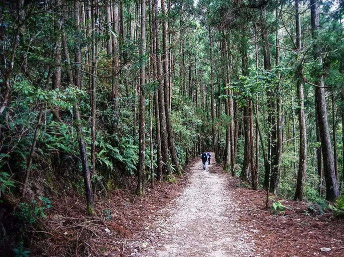 谷關七雄橫嶺山 谷關七雄橫嶺山