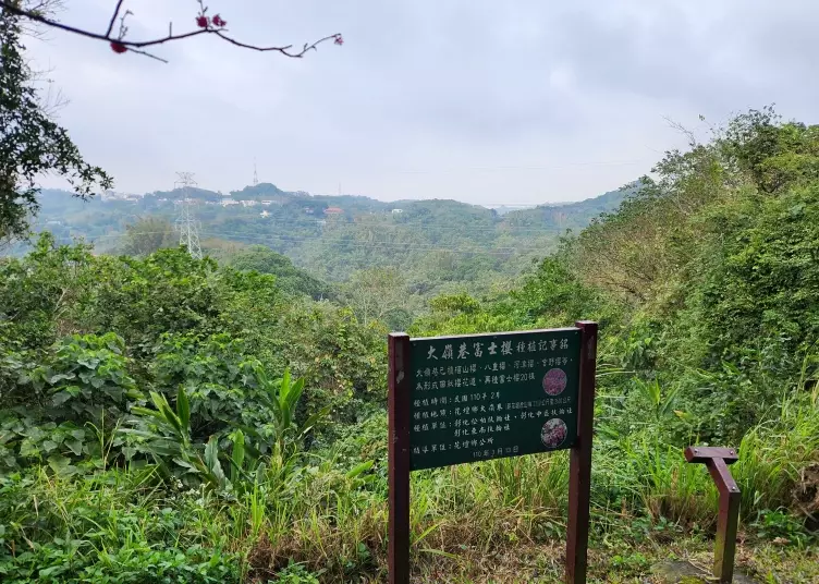 微熱山丘 鳳梨酥 微熱山丘 鳳梨酥