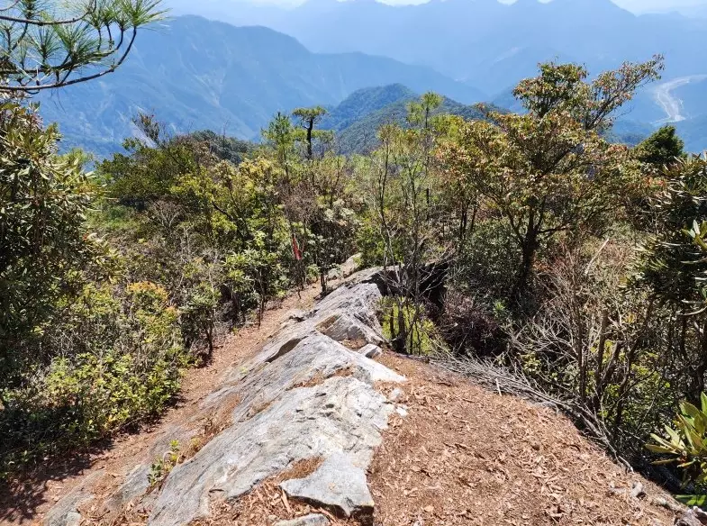 橫嶺山步道 橫嶺山步道