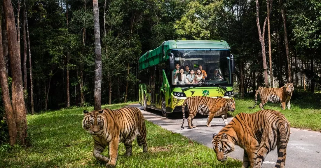 富國島珍珠野生動物園交通 富國島珍珠野生動物園交通