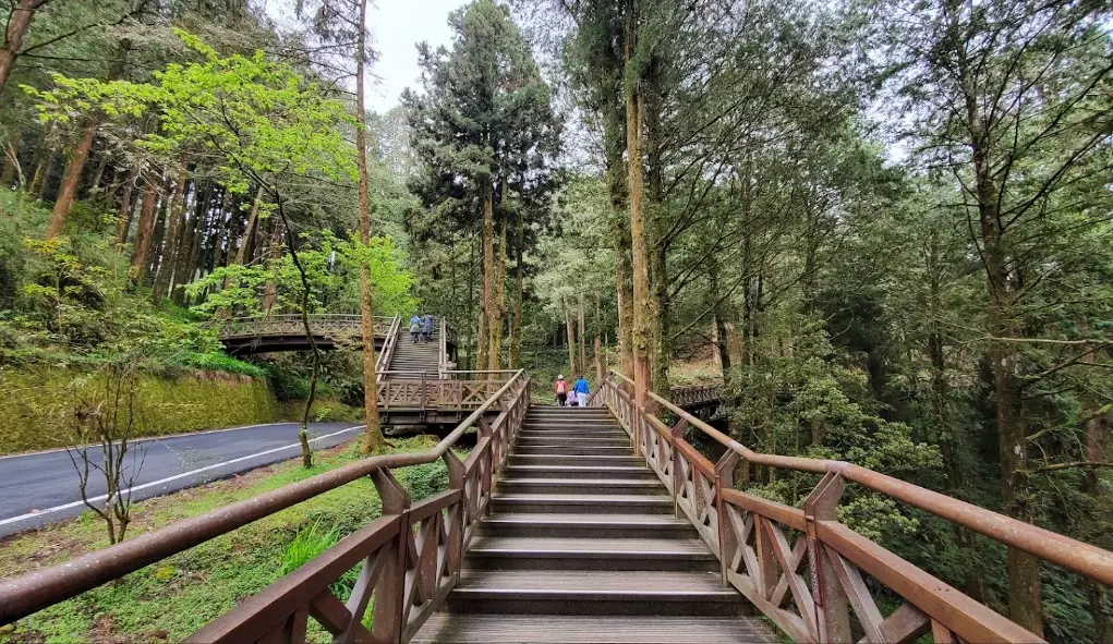 阿里山附近景點 阿里山附近景點