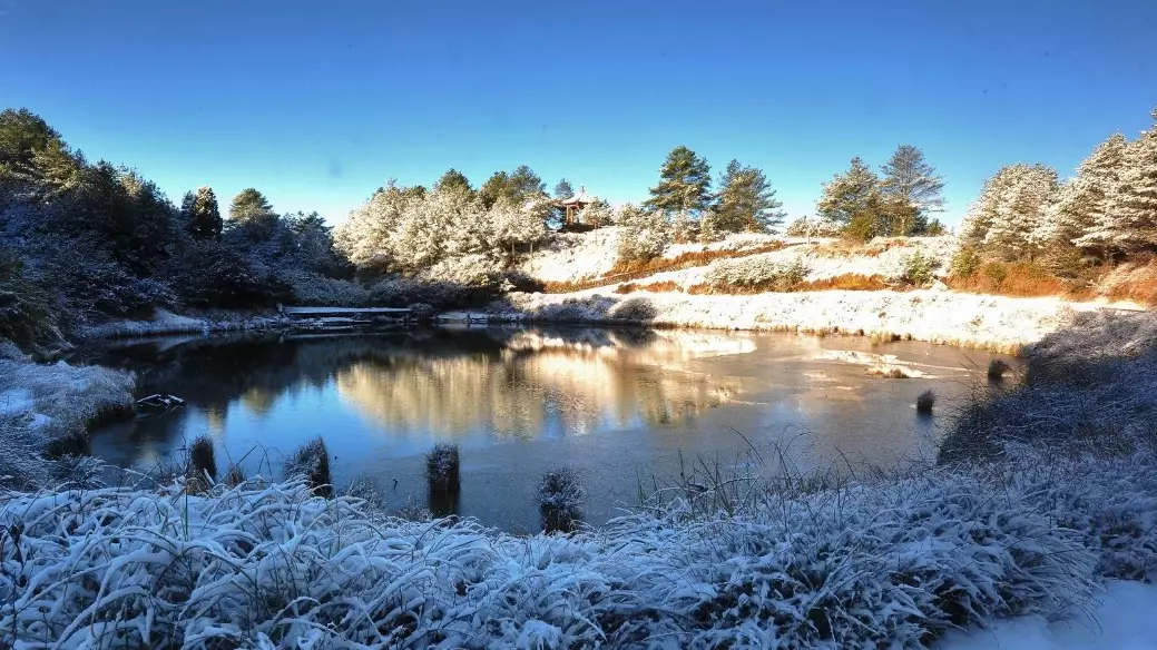 大雪山森林遊樂區開放時間