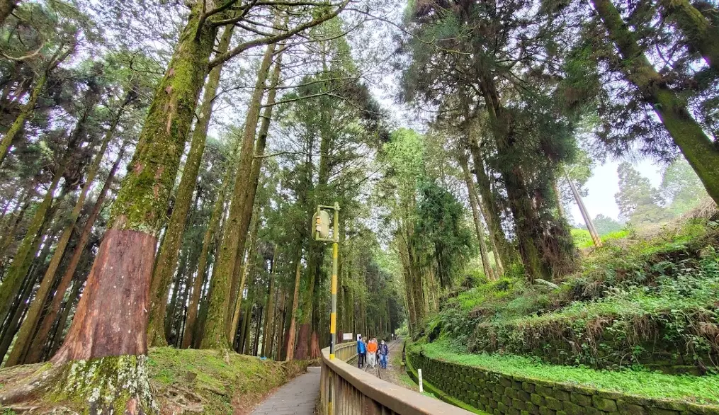 阿里山森林遊樂區周邊景點 阿里山森林遊樂區周邊景點