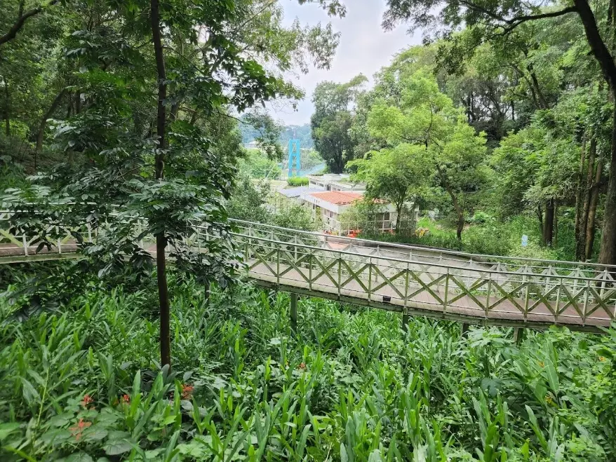 竹崎親水公園 竹崎親水公園