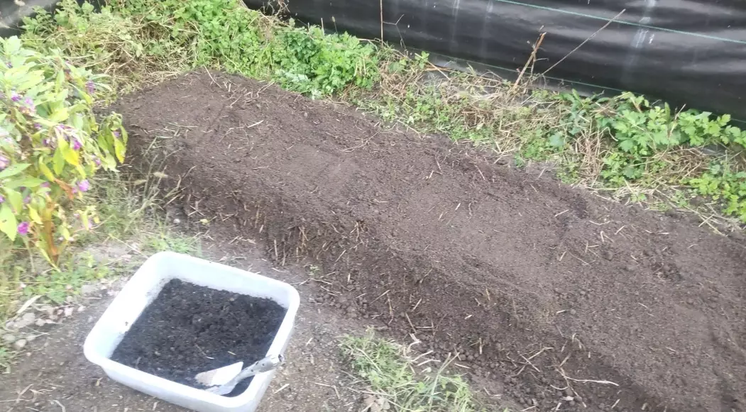 抹草施肥 抹草施肥
