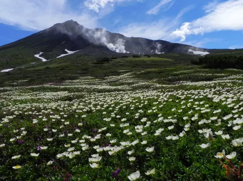 大雪山森林游乐区门票 大雪山森林游乐区门票
