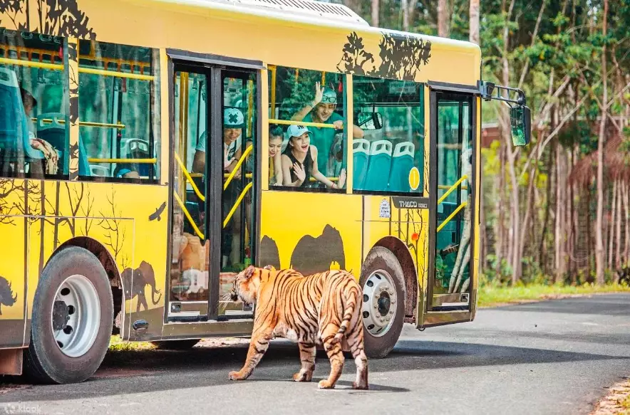 富國島珍珠野生動物園交通 富國島珍珠野生動物園交通