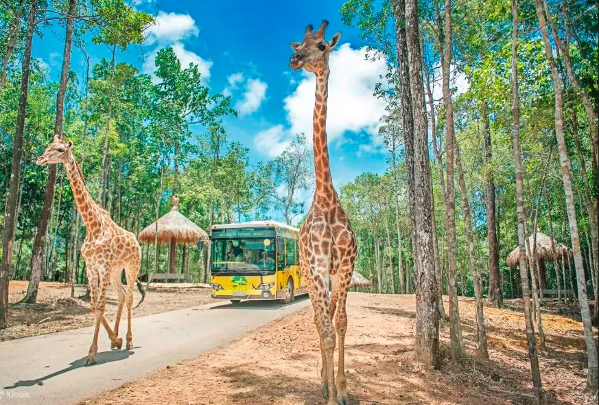 富國島動物園怎麼去 富國島動物園怎麼去