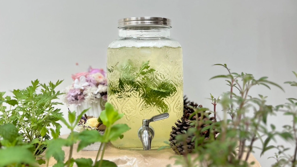 薄荷茶泡法 薄荷茶泡法
