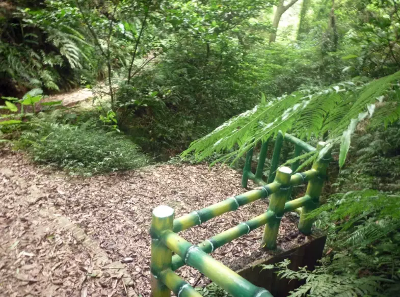 新埔步道推薦