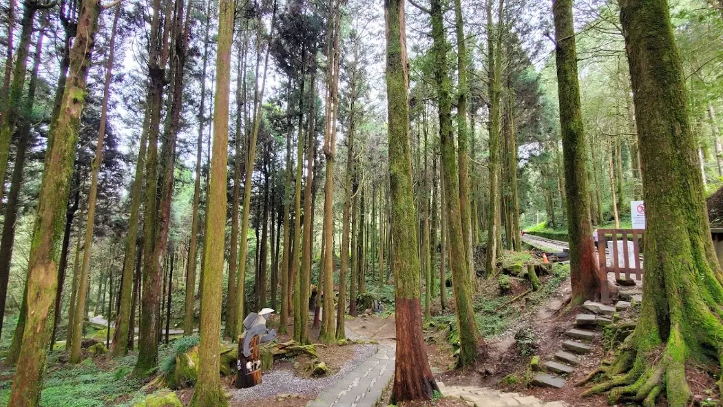 阿里山森林遊樂區周邊景點 阿里山森林遊樂區周邊景點