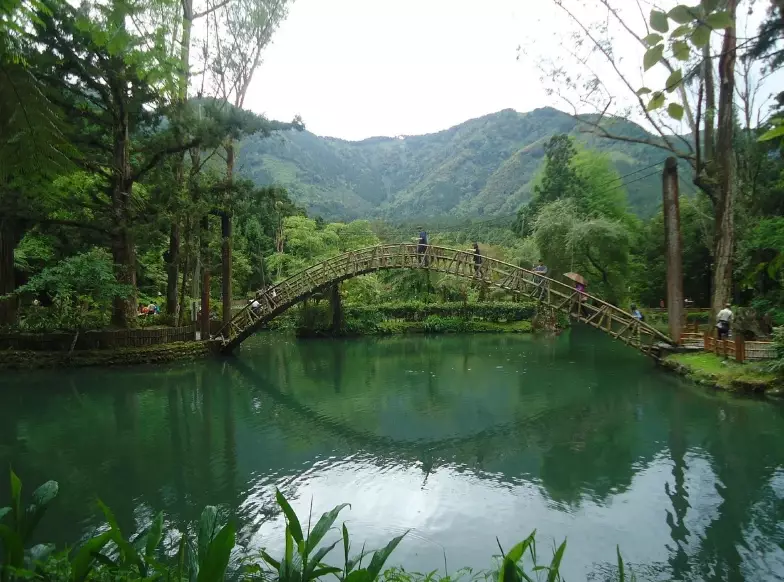 溪頭自然教育園區票價 溪頭自然教育園區票價