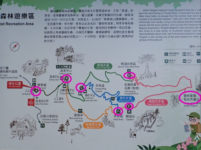 藤枝國家森林遊樂區交通