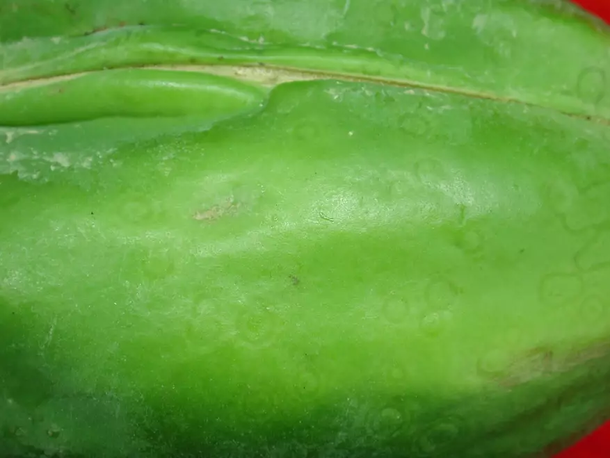 木瓜輪點病防治 木瓜輪點病防治