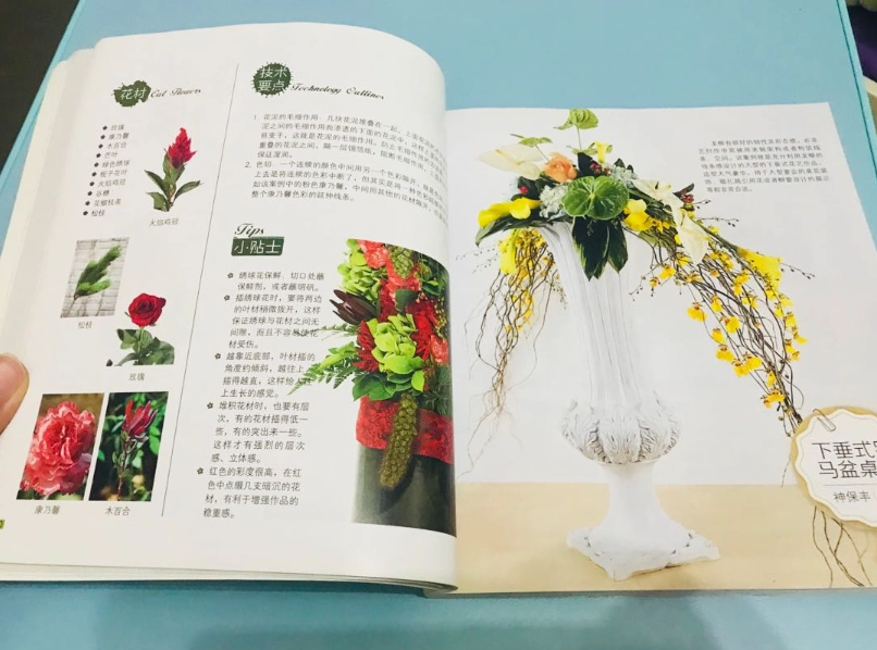 植物照護書籍 植物照護書籍