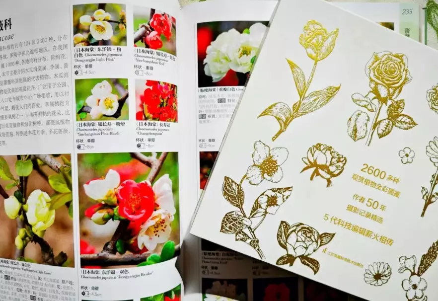 園藝書單 園藝書單