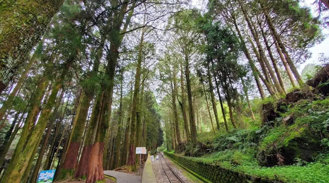 阿里山附近景點 阿里山附近景點