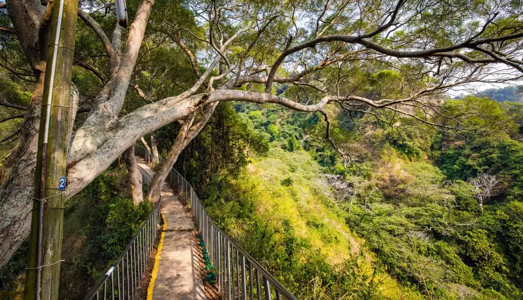 八卦山風景區 八卦山風景區