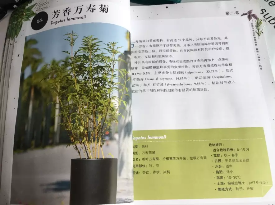 園藝書單 園藝書單