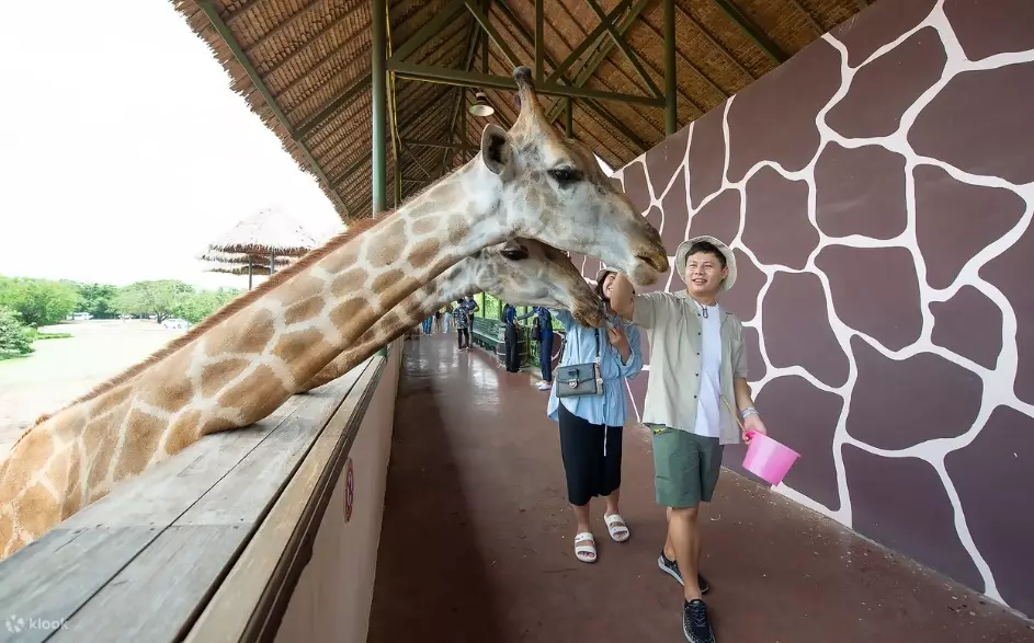 曼谷動物園一日遊