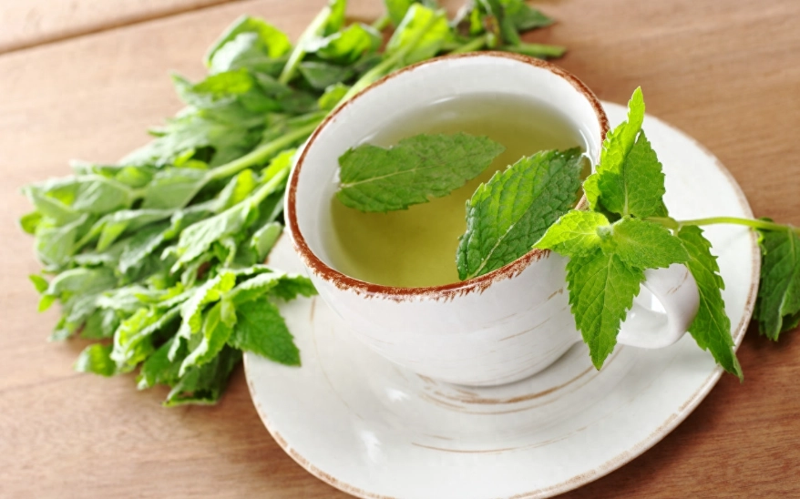 薄荷茶泡法 薄荷茶泡法