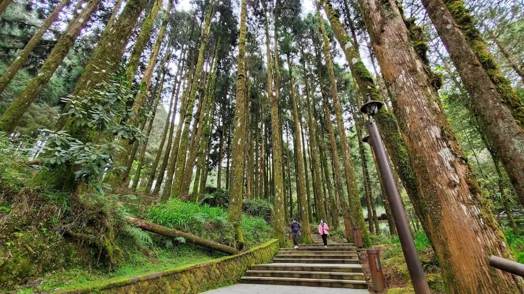 阿里山森林遊樂區附近景點