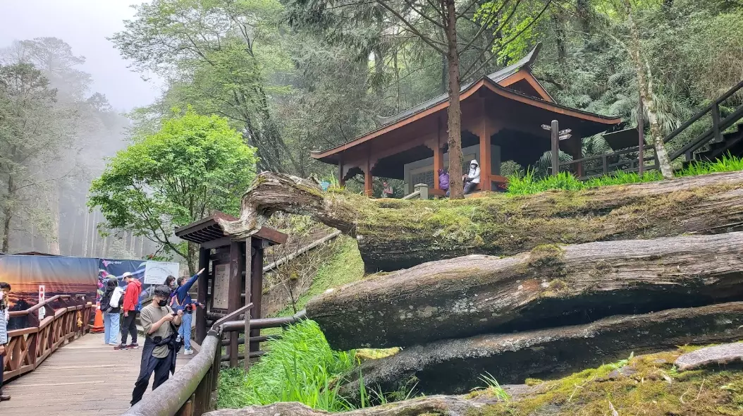 阿里山森林遊樂區周邊景點 阿里山森林遊樂區周邊景點