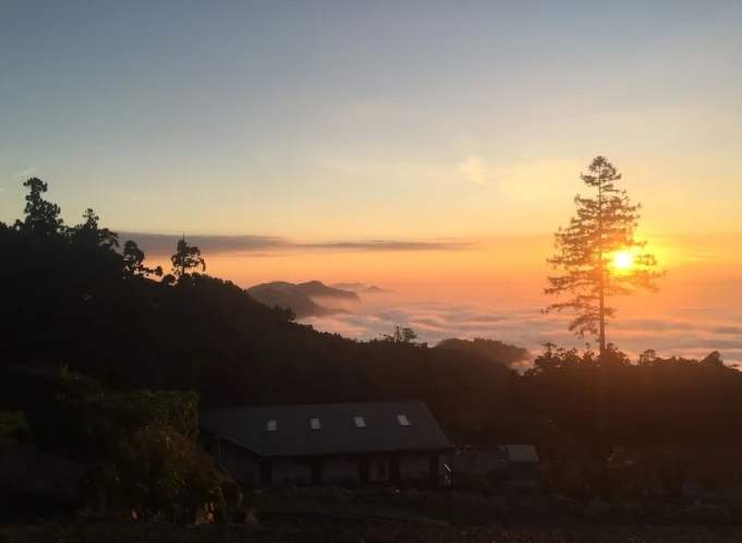 龍雲農場 龍雲農場
