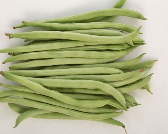 菜豆料理 菜豆料理