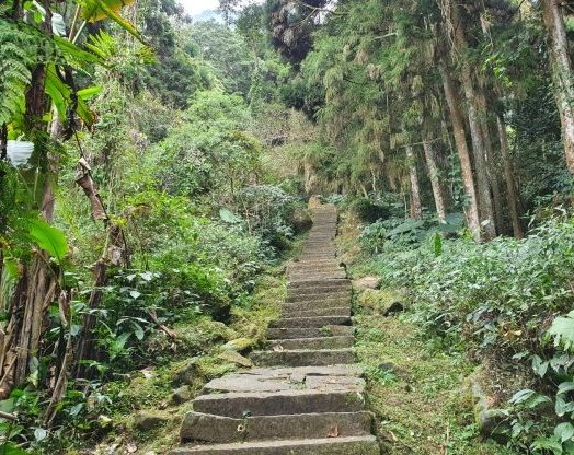 溪頭國家森林遊樂區 溪頭國家森林遊樂區