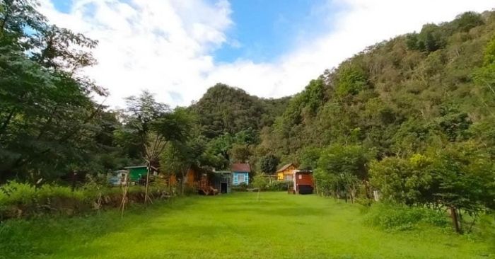 川中島落羽松露營秘境 川中島落羽松露營秘境