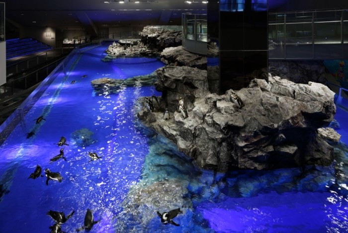 墨田水族館 墨田水族館