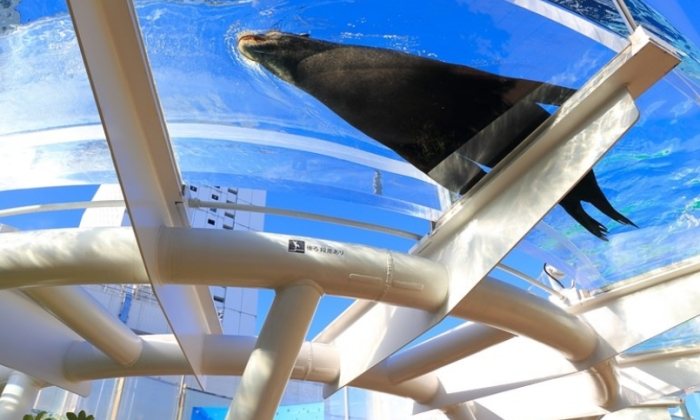 太陽城水族館 太陽城水族館