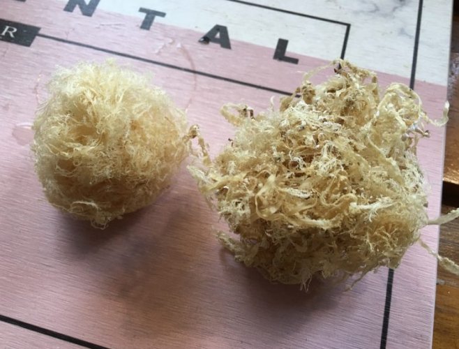 石花凍的功效 石花凍的功效