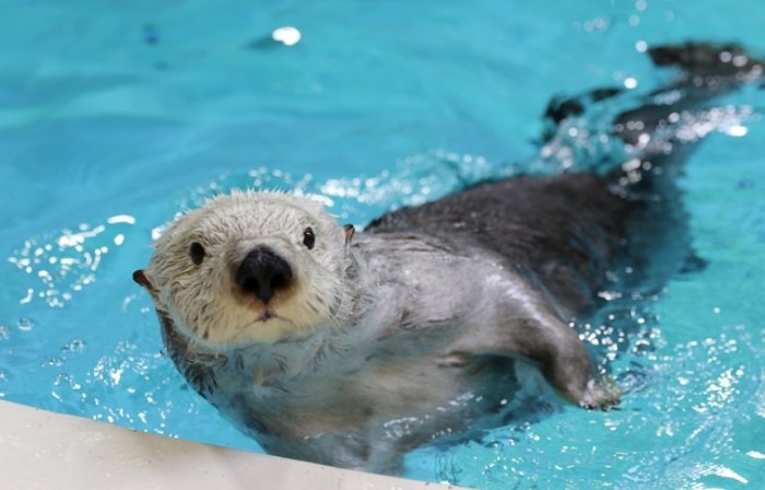 名古屋水族館 名古屋水族館