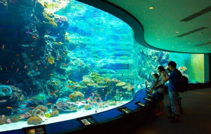 員林水族館 員林水族館
