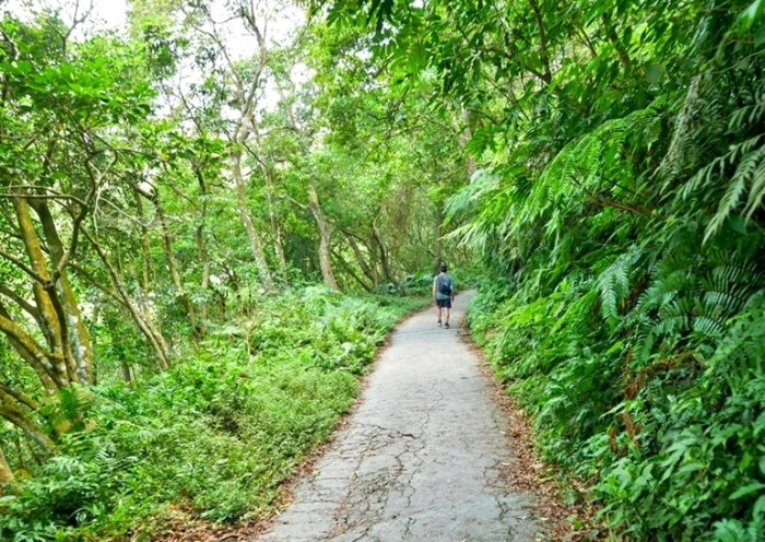 聖母山莊登山步道 聖母山莊登山步道