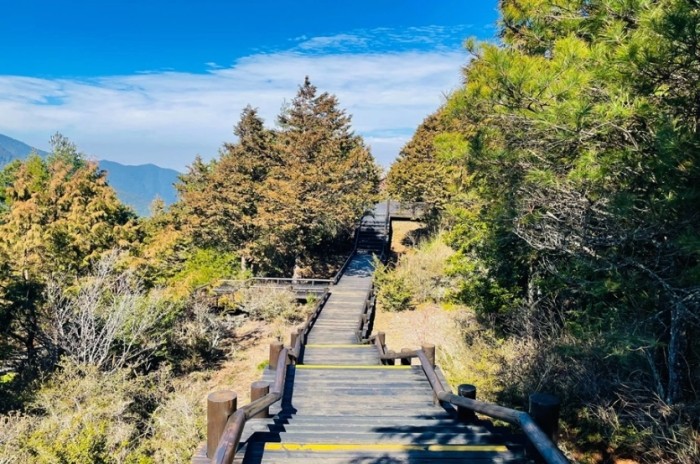 觀霧森林遊樂區 觀霧森林遊樂區