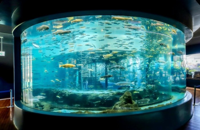 員林水族館 員林水族館